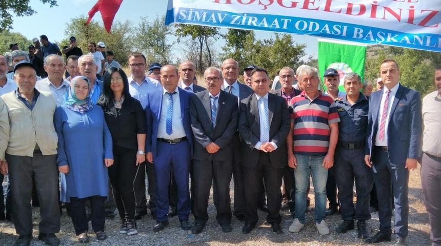 Simav'da vişne ve kiraz yerine goji berry