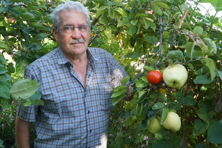 Bu meyvenin adı bilinmiyor!  G1