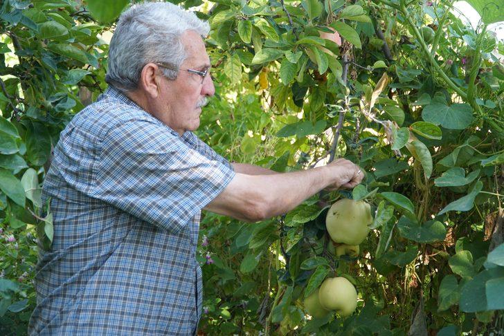 Bu meyvenin adı bilinmiyor!  G2