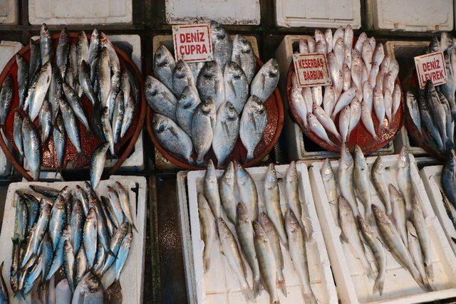 Mersin’de 8-9 bin ton balık bekleniyor