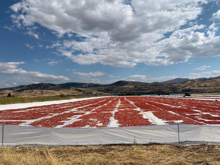 Tunceli’den Avrupa’ya kuru domates ihracatı G2