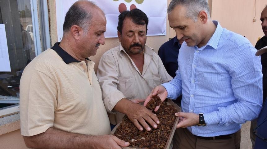 Kuru &uuml;z&uuml;m alımlarına yerinde inceleme