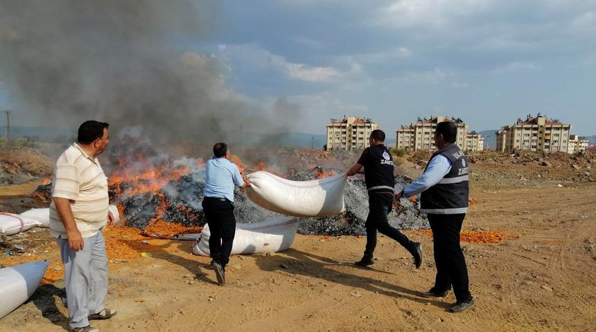 Biber ve sal&ccedil;aya konulmak istenen atık domates posası imha edildi