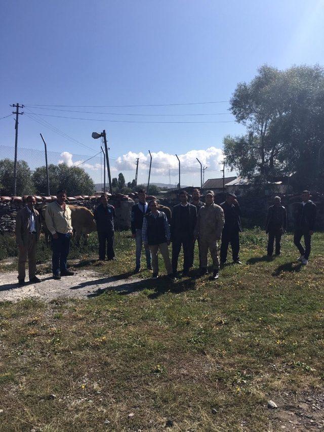 Göle’de çalınan hayvanlar Kars’ta yakalandı