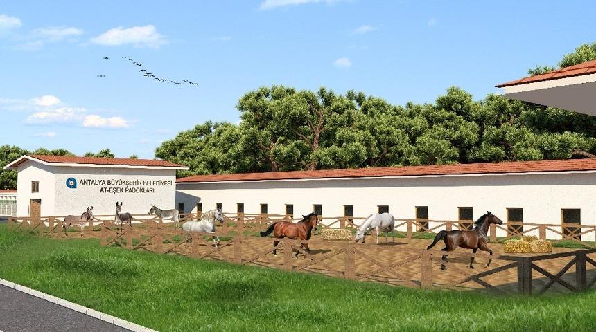 Antalya&rsquo;ya yerden ısıtmalı modern hayvan barınağı