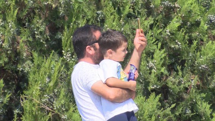 TEKNOFEST gösterileri sırasında trafik durdu, herkes telefona sarıldı G4