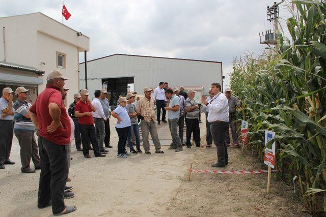 MAY Tohum, mısır üreticilerini AR-GE istasyonunda ağırladı