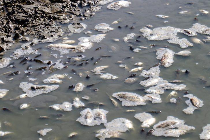 Tankerle tonlarca su taşıdılar ama... Kahreden görüntü! G1