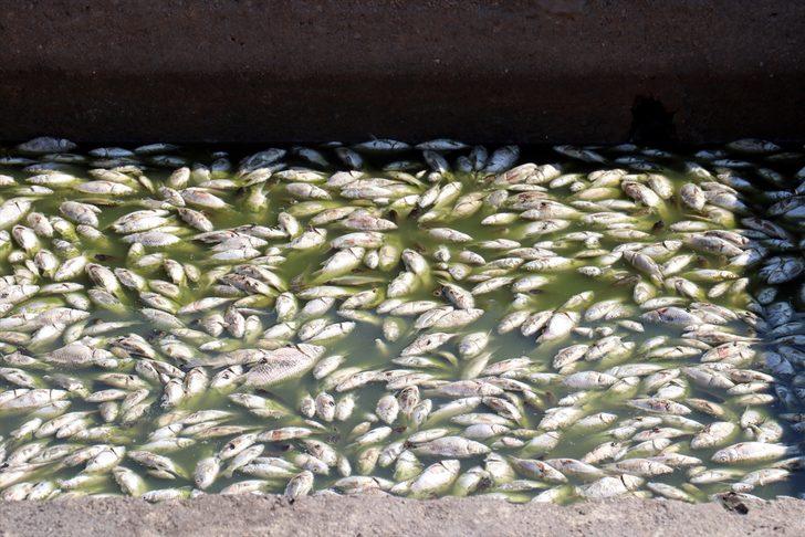 Tankerle tonlarca su taşıdılar ama... Kahreden görüntü! G2