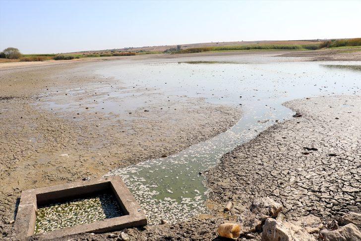 Tankerle tonlarca su taşıdılar ama... Kahreden görüntü! G3