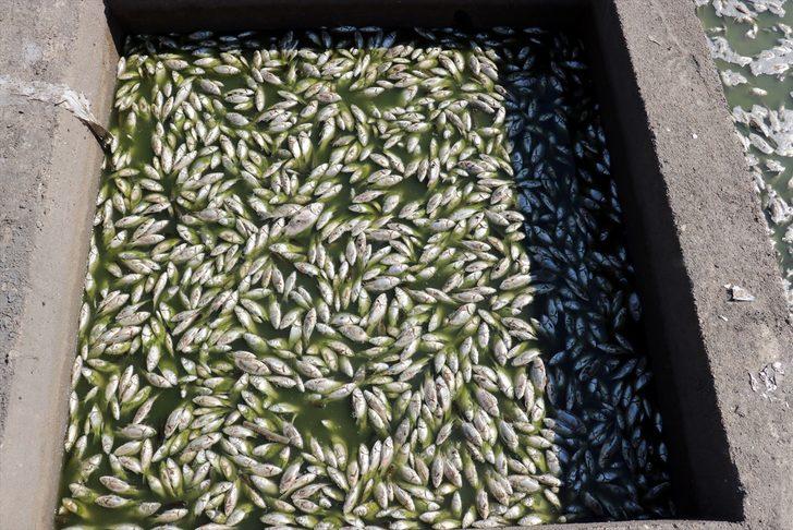 Tankerle tonlarca su taşıdılar ama... Kahreden görüntü! G4