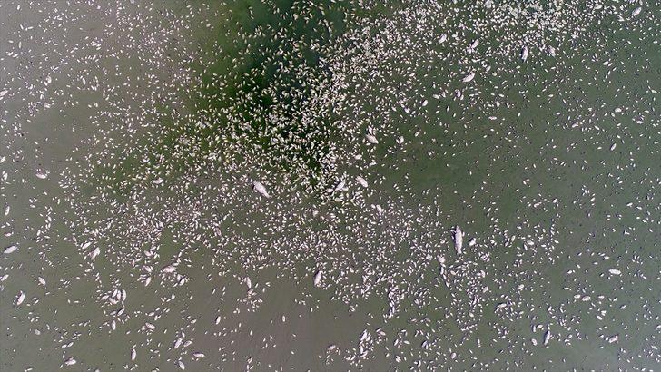 Tankerle tonlarca su taşıdılar ama... Kahreden görüntü! G5