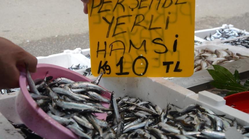 Denizden hamsi fışkırdı, fiyatlar 10 liraya düştü
