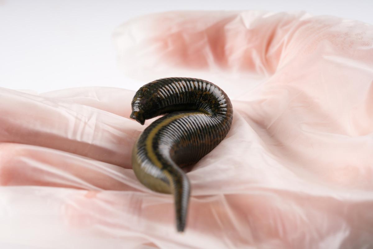 Victoria Beckham'ın bakım sırrı avokado! Peki diğer Hollywood yıldızlarının g&uuml;zellik rutinlerinde neler var?