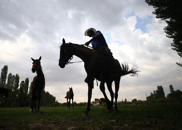 Şampiyon yarış atlarının yaylası: Ereğli G1