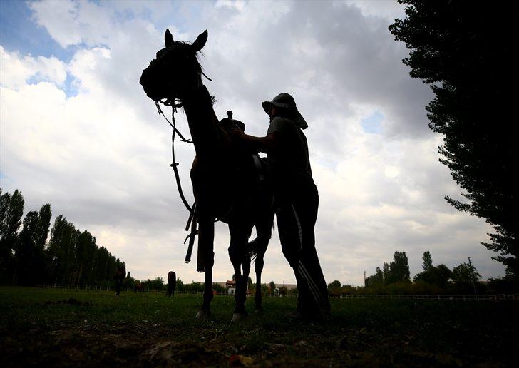 Şampiyon yarış atlarının yaylası: Ereğli G2