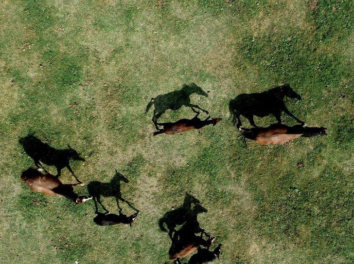 Şampiyon yarış atlarının yaylası: Ereğli G3