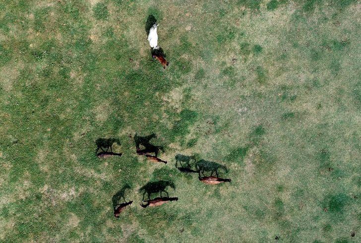 Şampiyon yarış atlarının yaylası: Ereğli G4