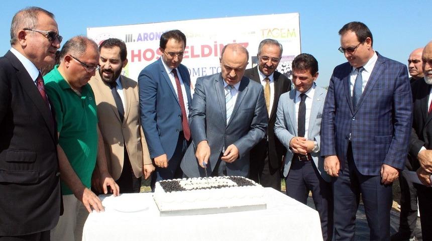 Yalova&rsquo;da aronya hasadına başlandı