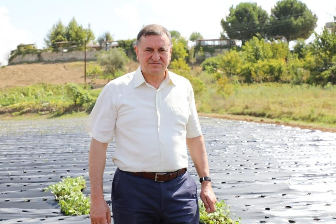 Hatay B&uuml;y&uuml;kşehir Belesiyesinden &ccedil;ift&ccedil;ilere fide desteği