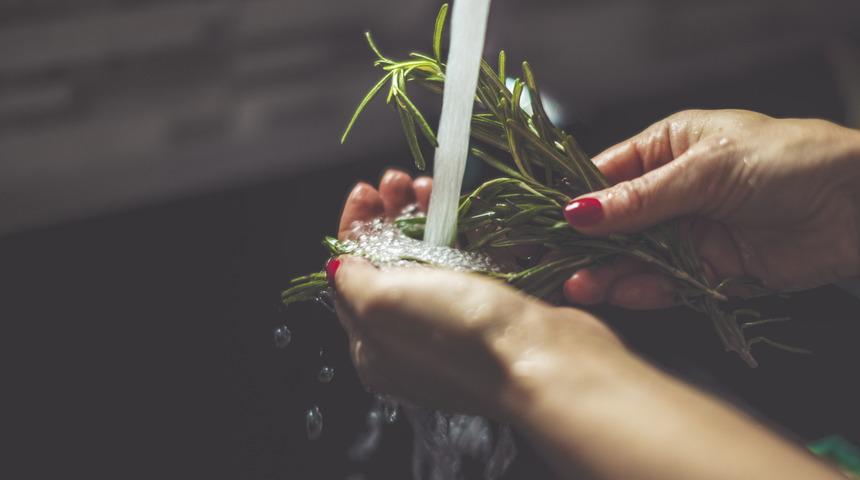 Migrenle baş etme konusunda ilaçtan daha etkili olan 3 bitki