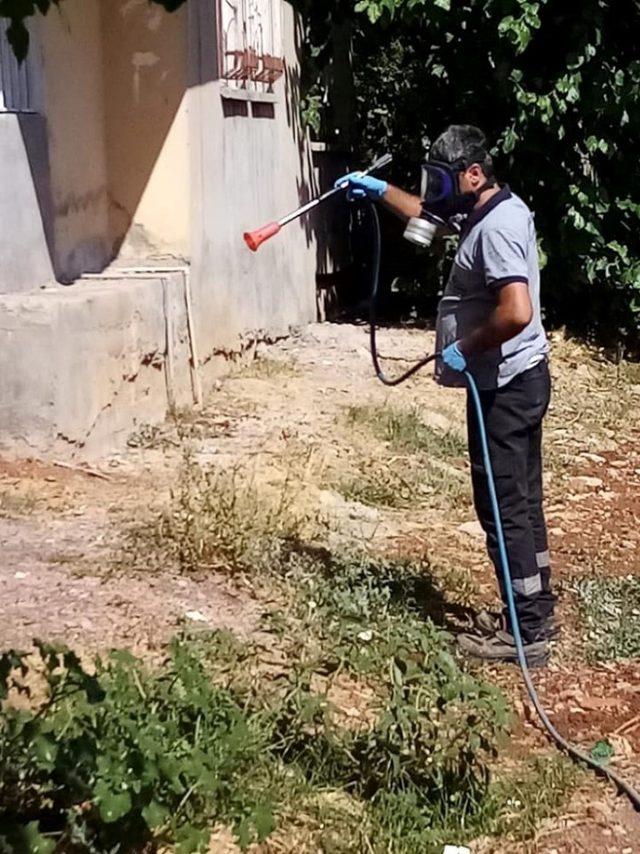 Adıyaman’da ilaçlama çalışmalarına devam ediyor