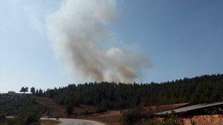 GÜNCELLEME - Bursa'da orman yangını