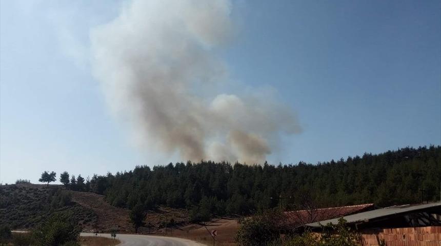 GÜNCELLEME - Bursa'da orman yangını