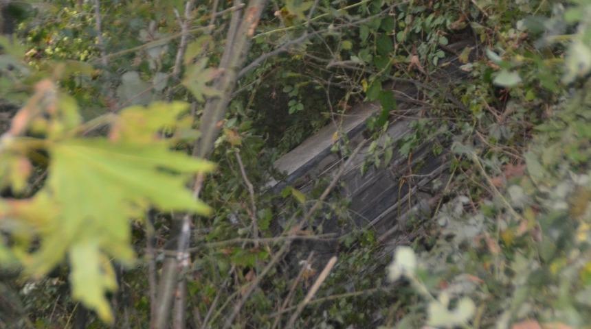 Ağa&ccedil;lar otomobilin ırmağa u&ccedil;masını engelledi