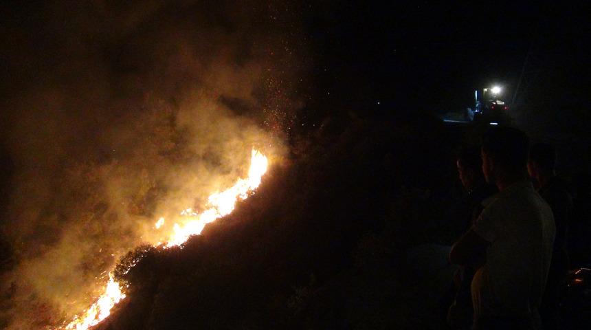 Hatay&rsquo;da orman yangını (2)