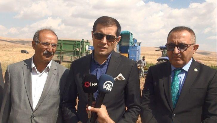 Türkiye’nin kuru fasulye ihtiyacının yüzde 6’sını Ahlat karşılıyor G2