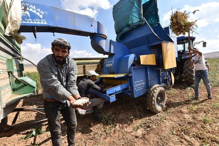 Türkiye’nin kuru fasulye ihtiyacının yüzde 6’sını Ahlat karşılıyor G3