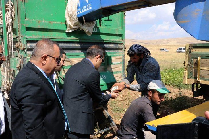 Türkiye’nin kuru fasulye ihtiyacının yüzde 6’sını Ahlat karşılıyor G5