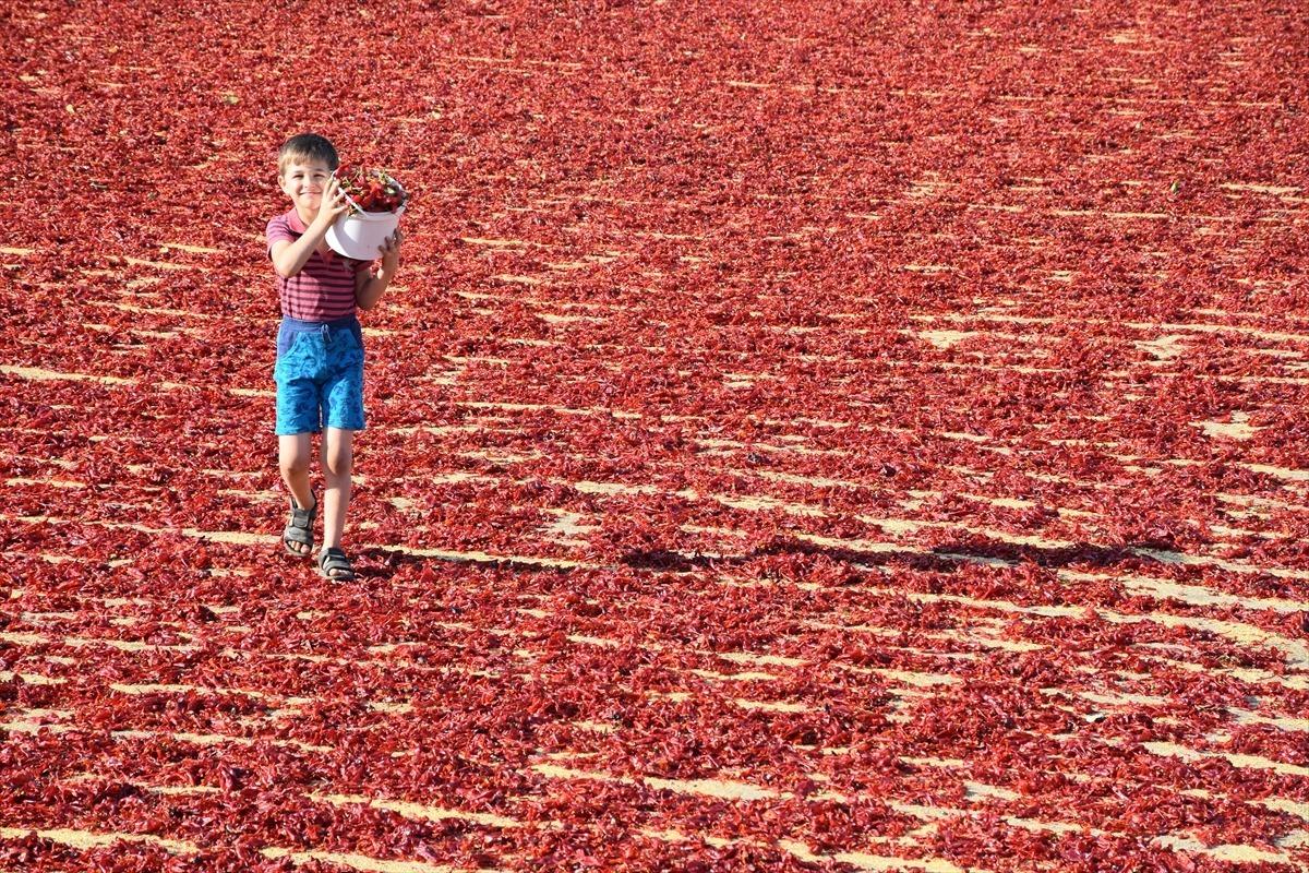 'Acılı eller'in mesaisi başladı