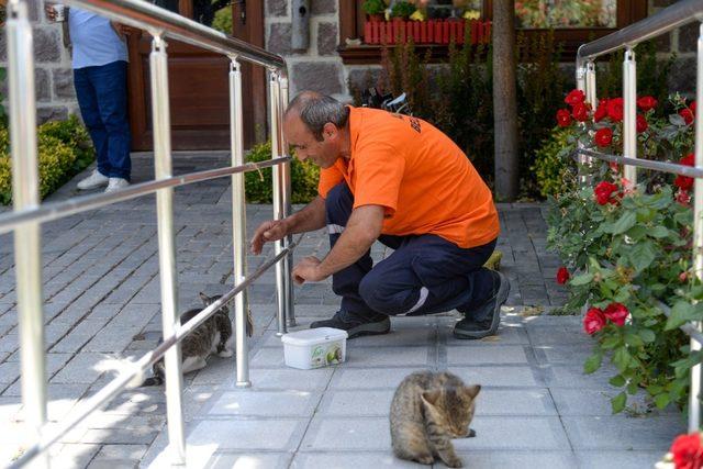 Ulucanlar’ın can dostları