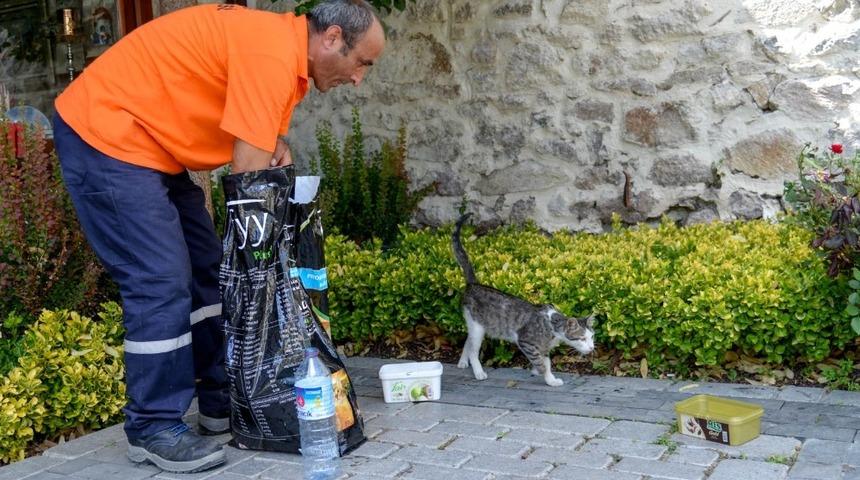 Ulucanlar&rsquo;ın can dostları
