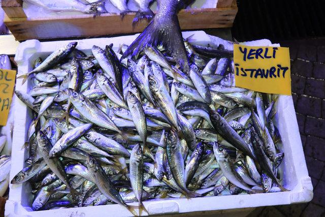 Deniz suyu ısınan Karadeniz'de balık avı azaldı