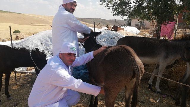 Mardin’in ödüllü eşek sütü sabunu 27 ülkeye ihraç ediliyor