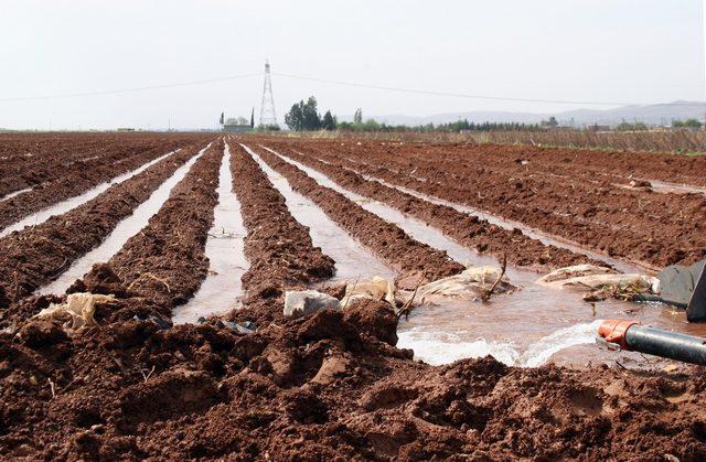 25 sulama birliğinin Dicle Elektrik’e olan borcu yarım milyar liraya yaklaştı