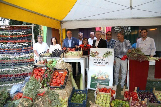 Gastroantep, doğal ürünlere duyulan özlemi dindirdi