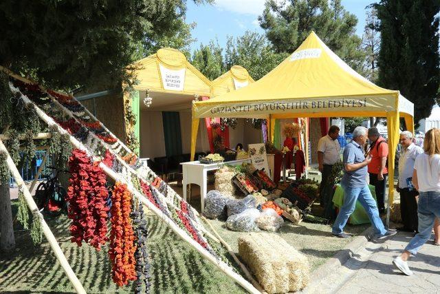 Gastroantep, doğal ürünlere duyulan özlemi dindirdi