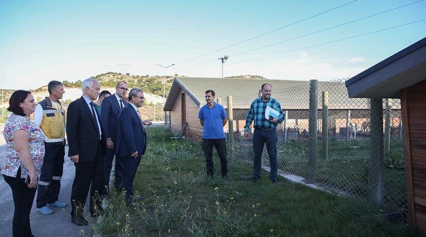 Başkan Alim Işık: "B&ouml;lgenin en modern hayvan barınağı K&uuml;tahya&rsquo;da"