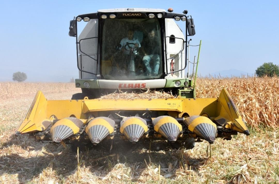 Manisa&rsquo;da mısır hasadı başladı