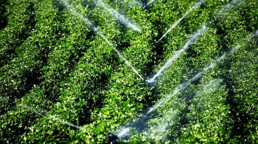 Ege&rsquo;nin sularına elektronik takip