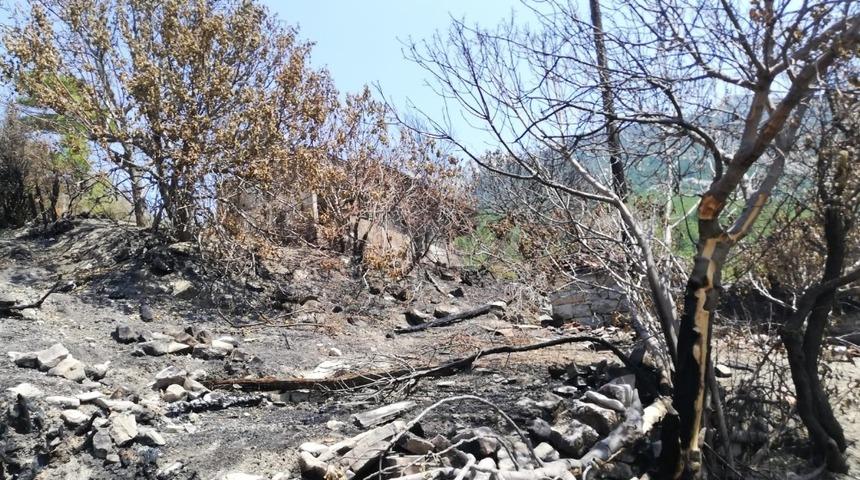 Manavgat&rsquo;ta evleri yanan aileye, Antalya Valiliğinden destek