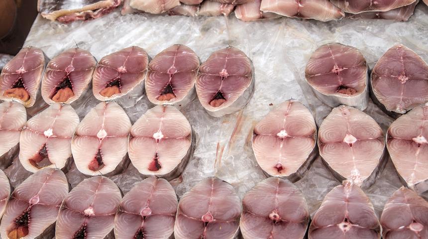 Balıkların şahı olan palamudu uzun süre muhafaza etmenin yolu