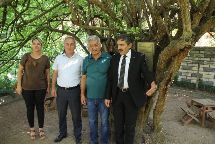 Bu köye gelen 370 yıllık ağacı görmeden gitmiyor G2