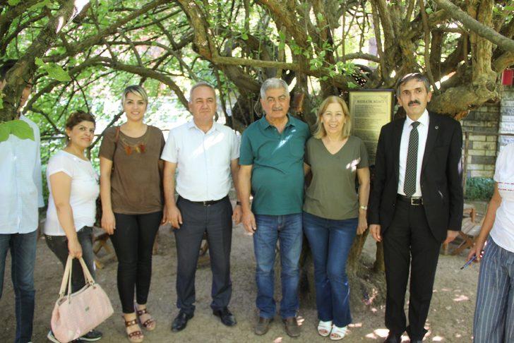 Bu köye gelen 370 yıllık ağacı görmeden gitmiyor G3