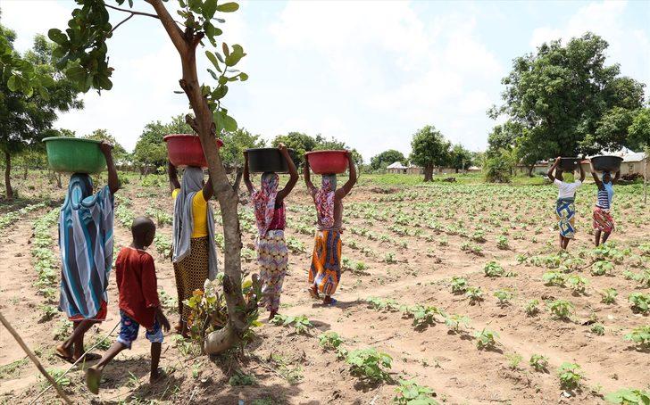 Nijeryalı kadınlar kafalarında yük taşıyarak para kazanıyor G3