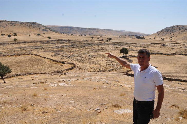 Tam bin 500 yıllık! Koruma altına alındı: Heyecanlandıran olay G3